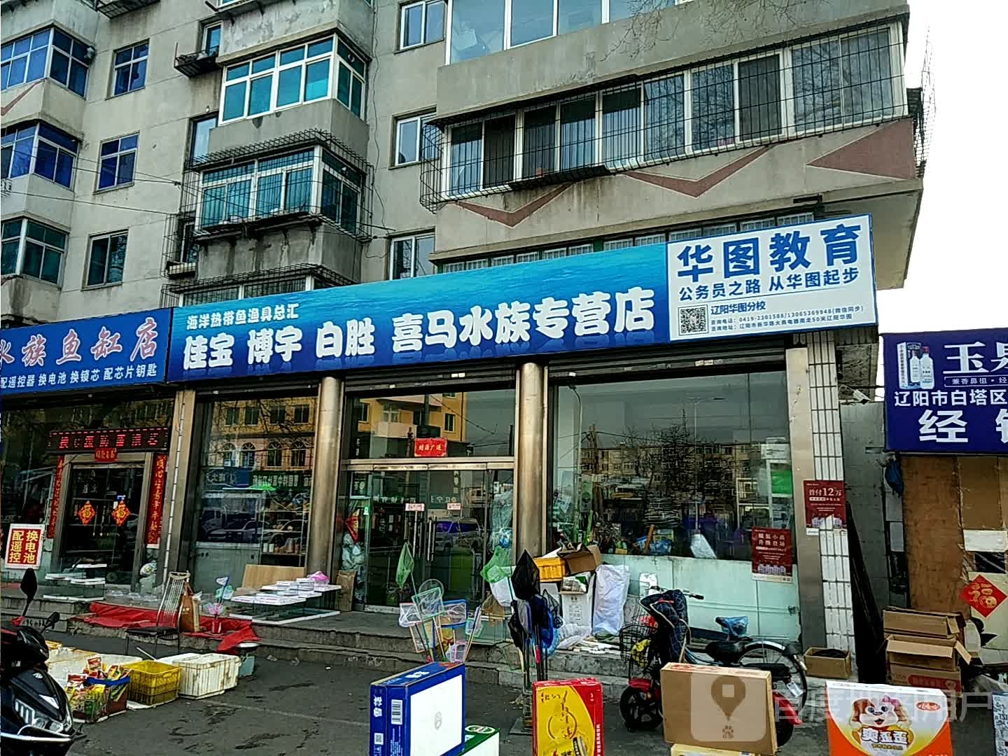 佳宝伯宇白胜喜马水族专营店