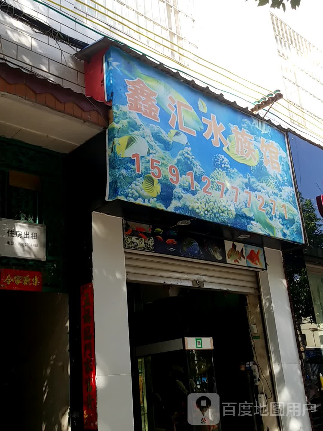 鑫汇水族馆