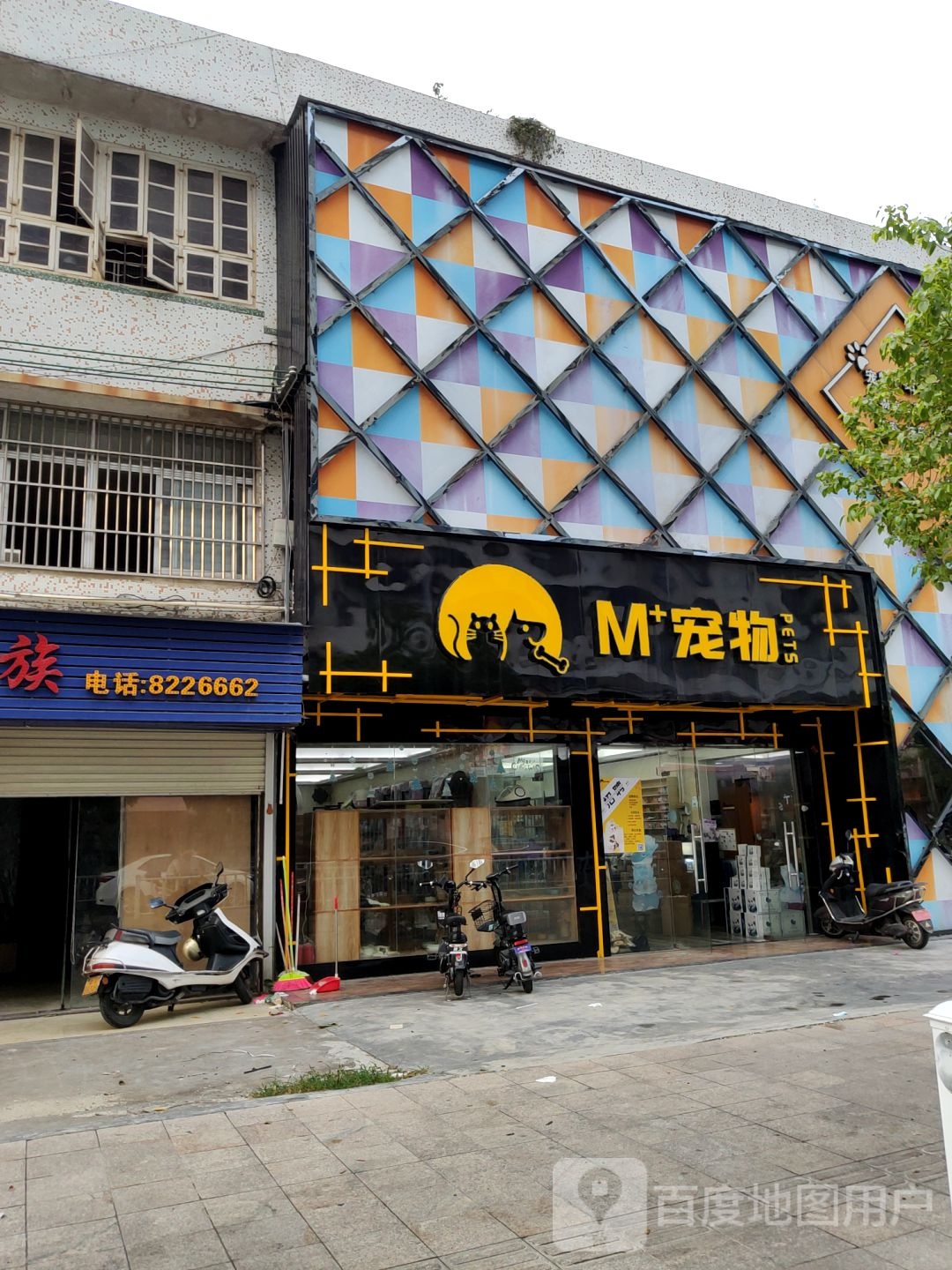 M+宠物(揭阳店)