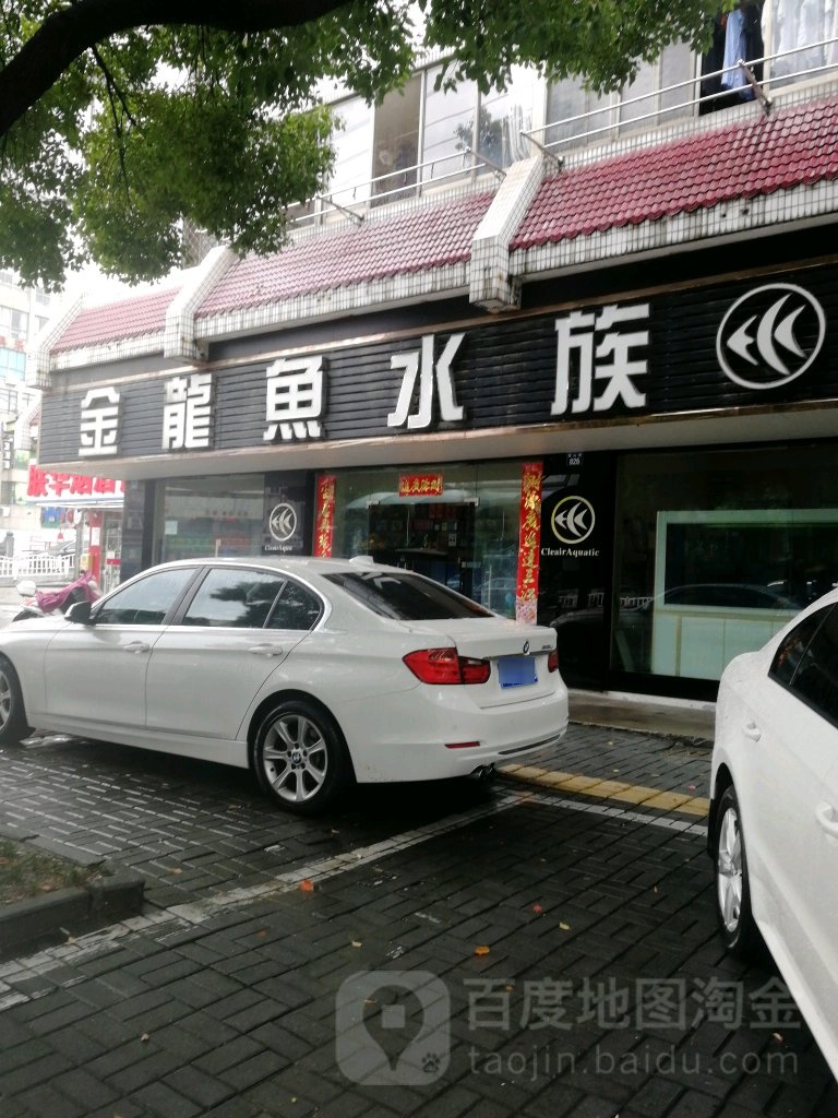 金龙鱼水族(西山路店)
