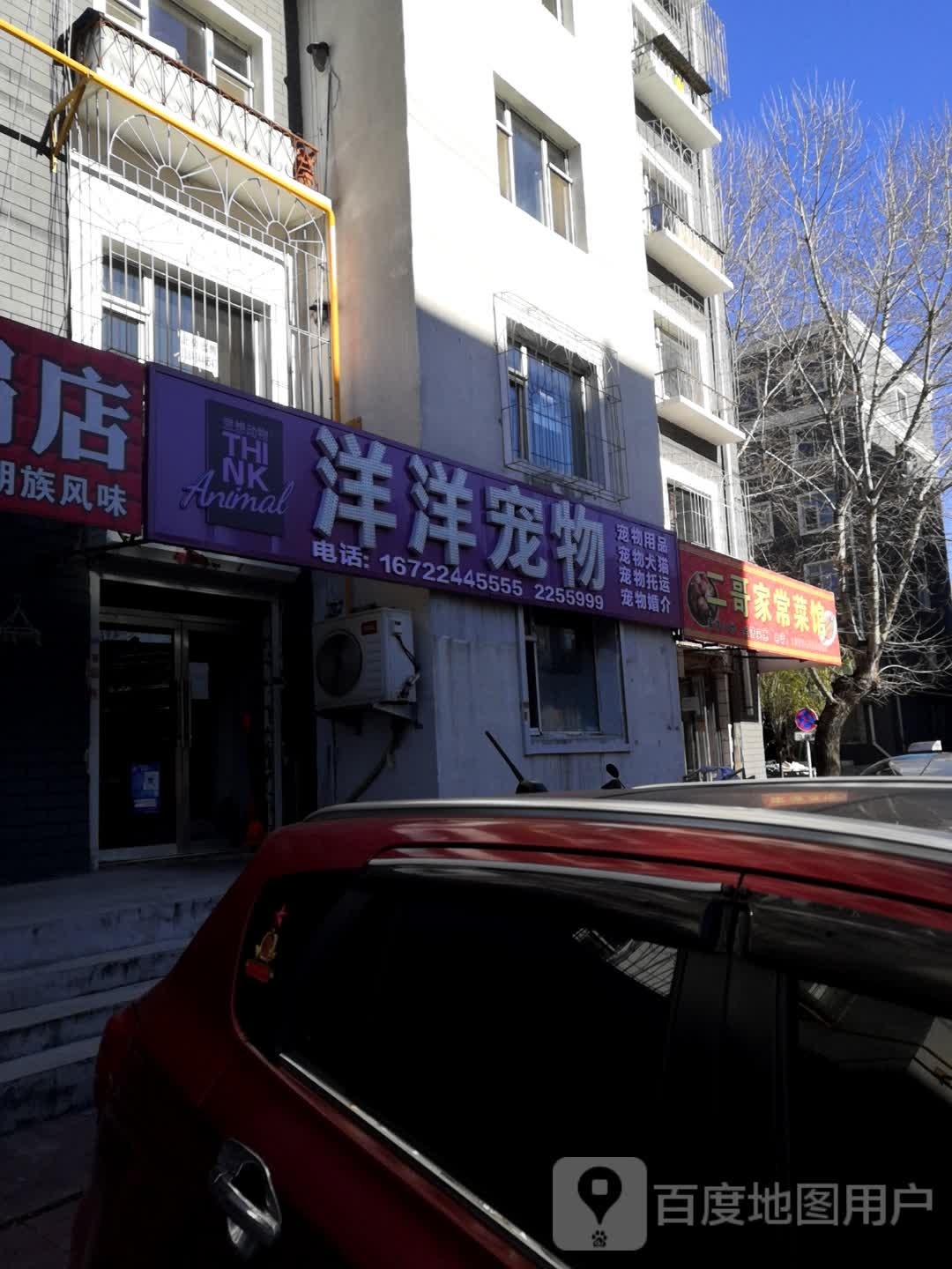 洋洋宠物(铁宅花园店)