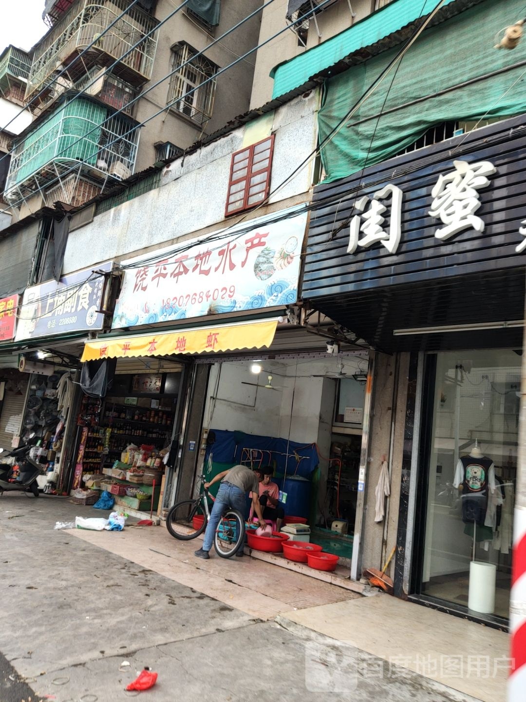 饶平本地水产
