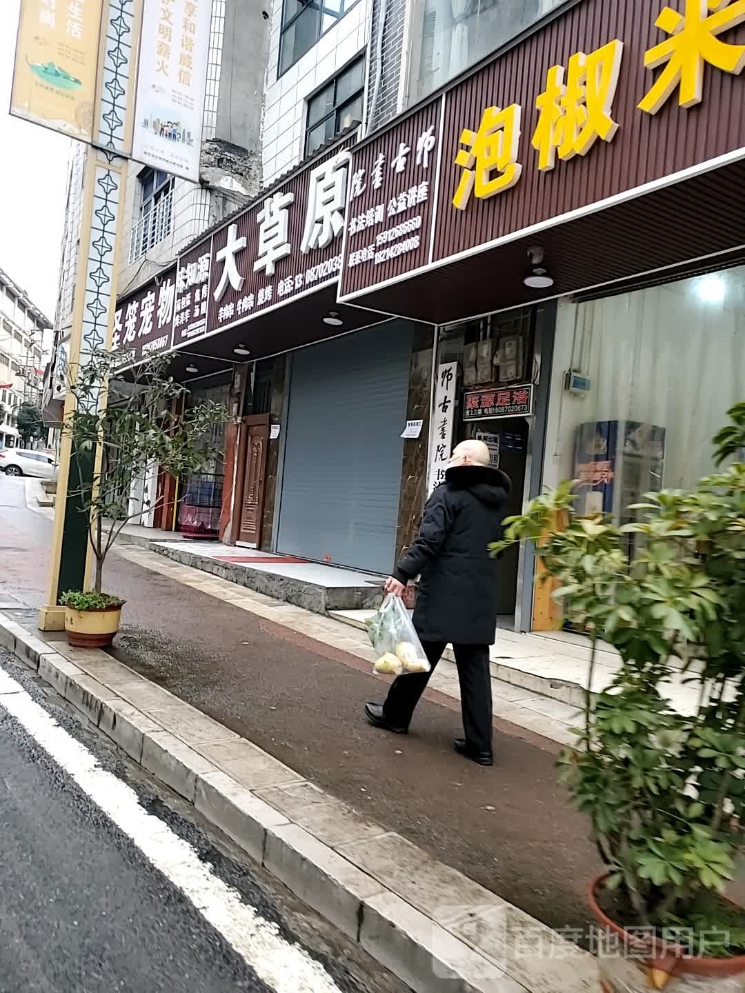 圣笼宠物店