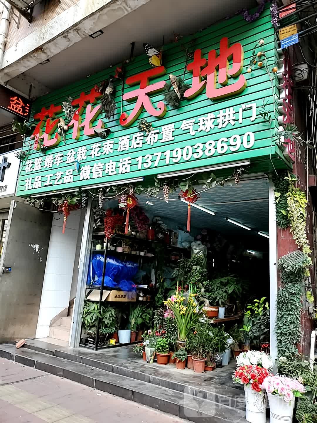花花天地花店店