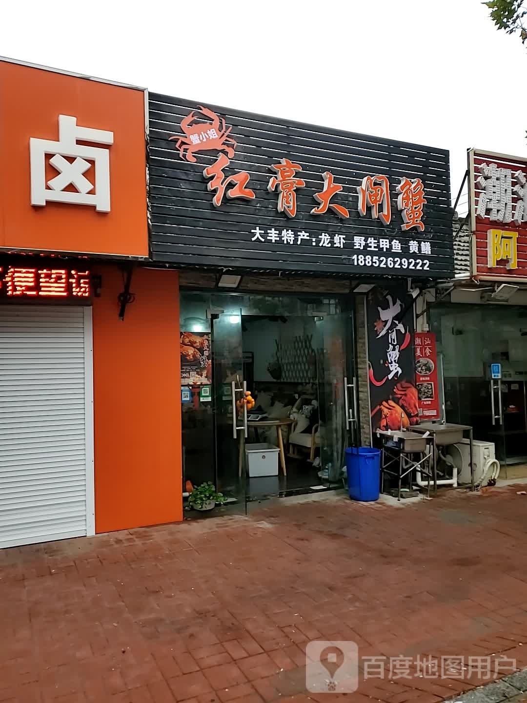 蟹小姐红膏大宅蟹