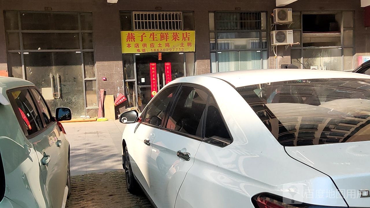 燕子生鲜菜店