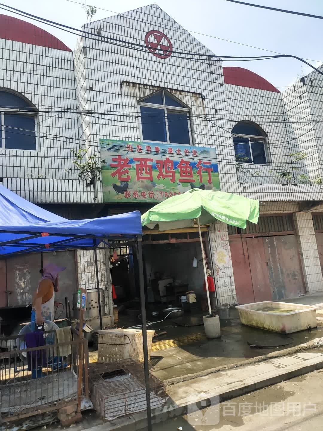 老西鸡渔行