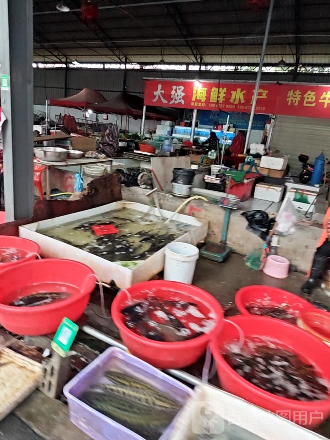 大强海鲜水产(益阳市腾洲三桥水果批发市场店)