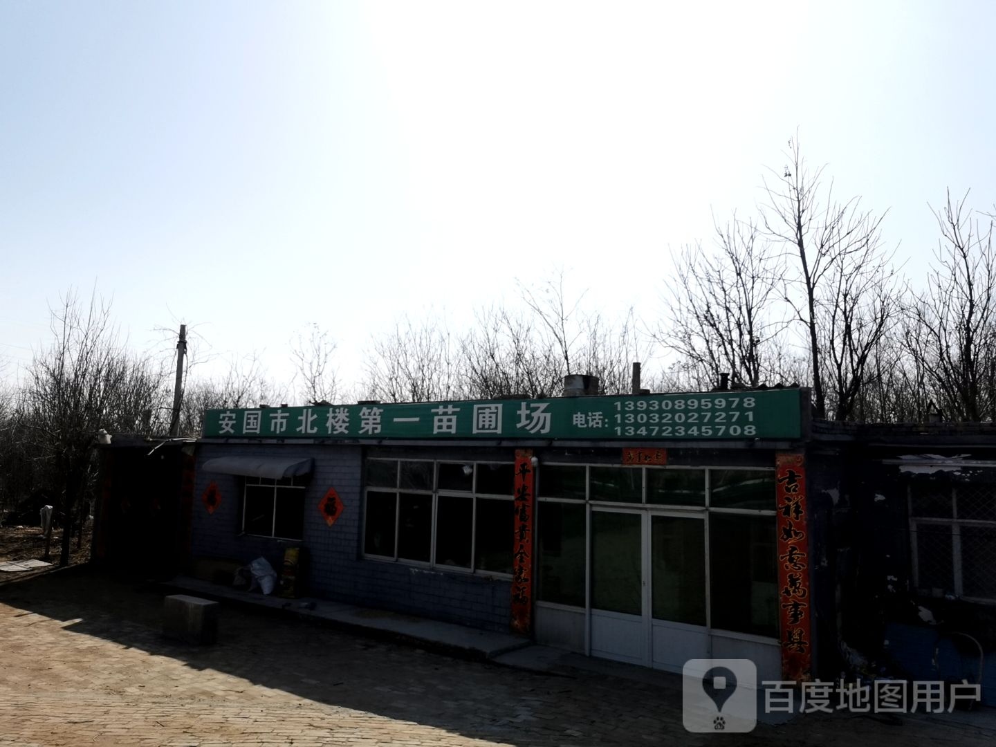 安国市北楼第一苗圃场