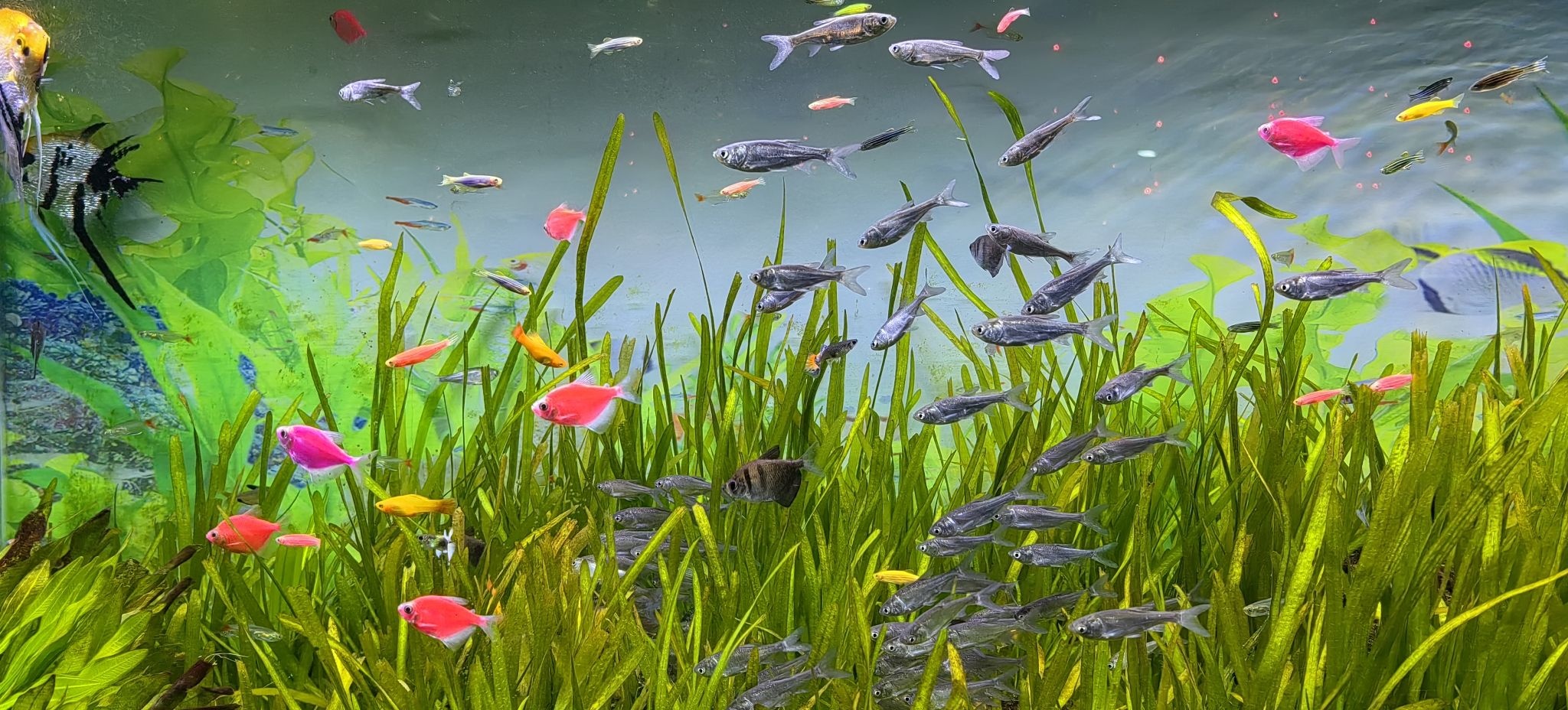 海之语海洋世界