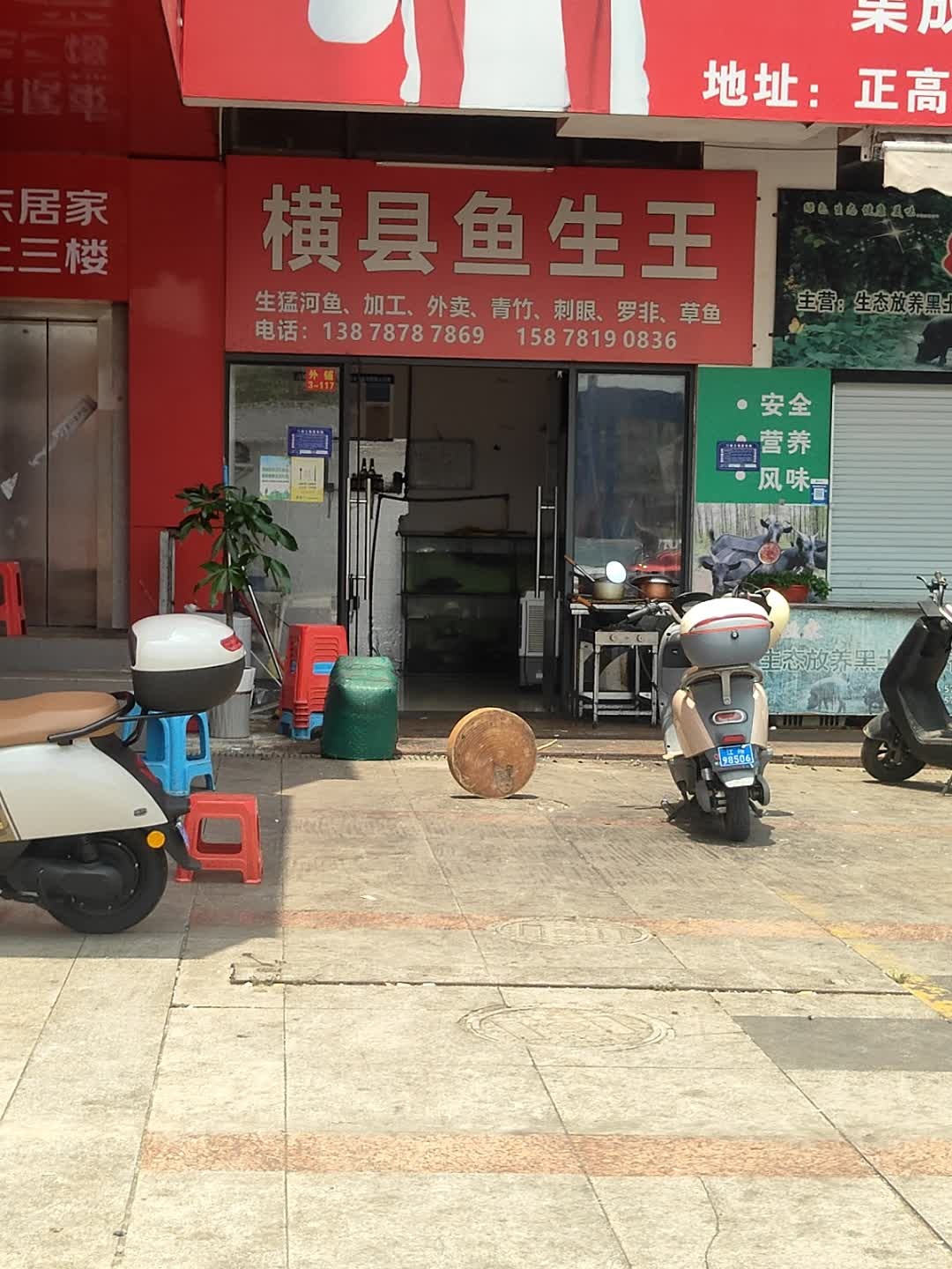 横县鱼生王