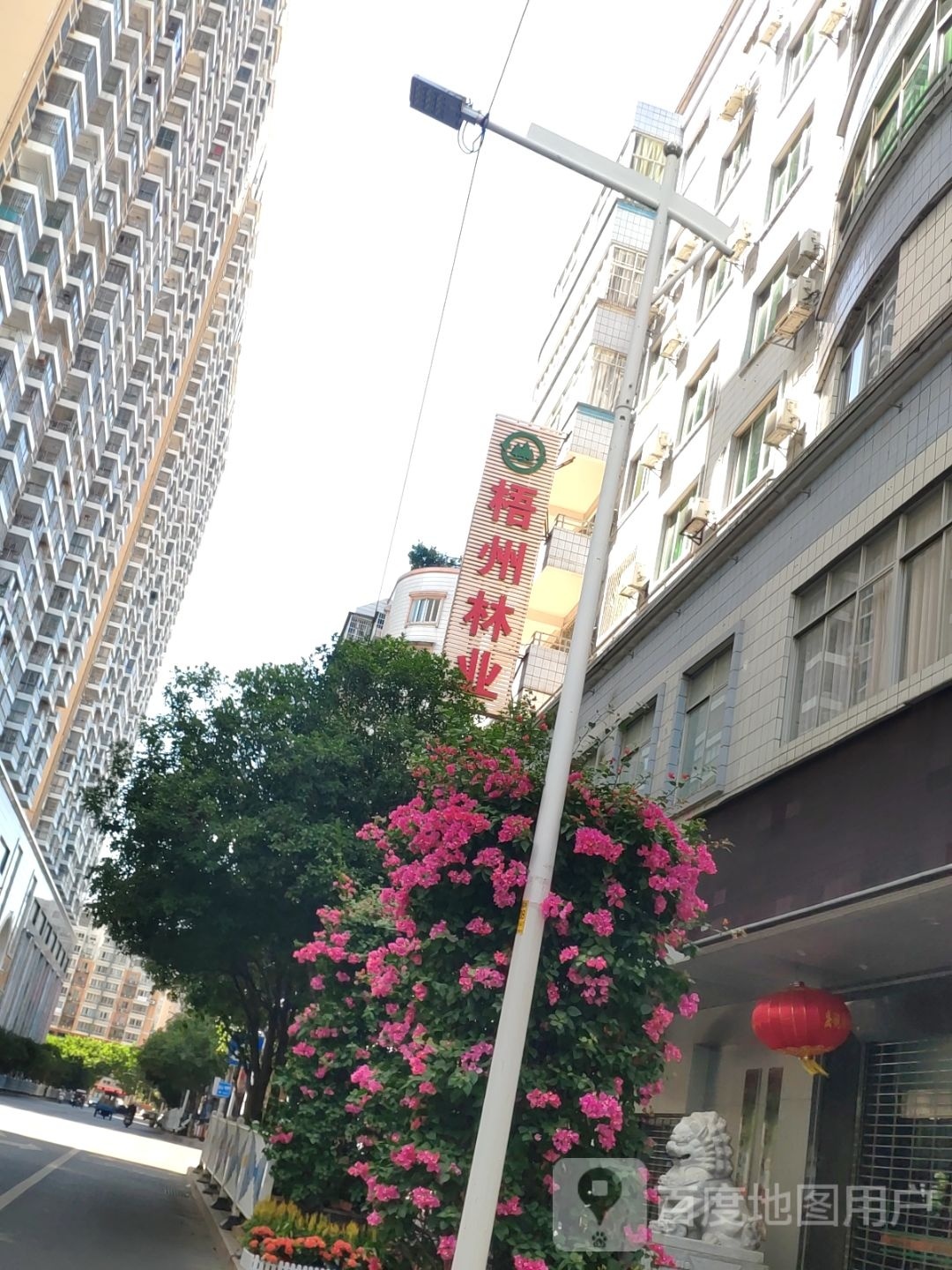 梧州市林业局