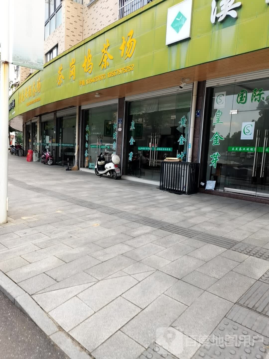 茶岗坞茶场