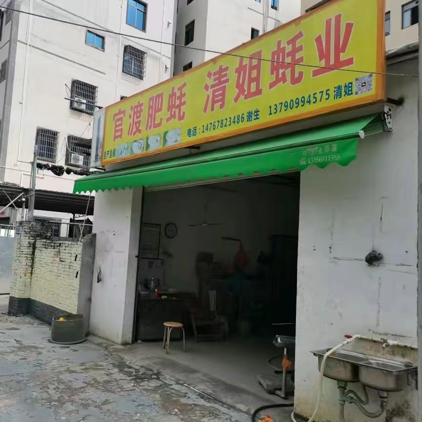 官渡肥蚝清姐蚝业