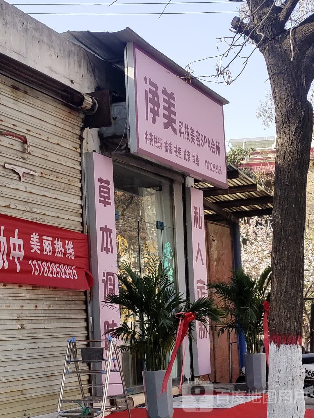 净美科技内容SPA会所
