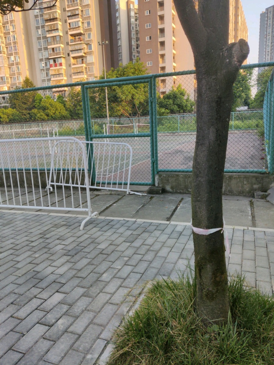 西华大学-羽毛球场
