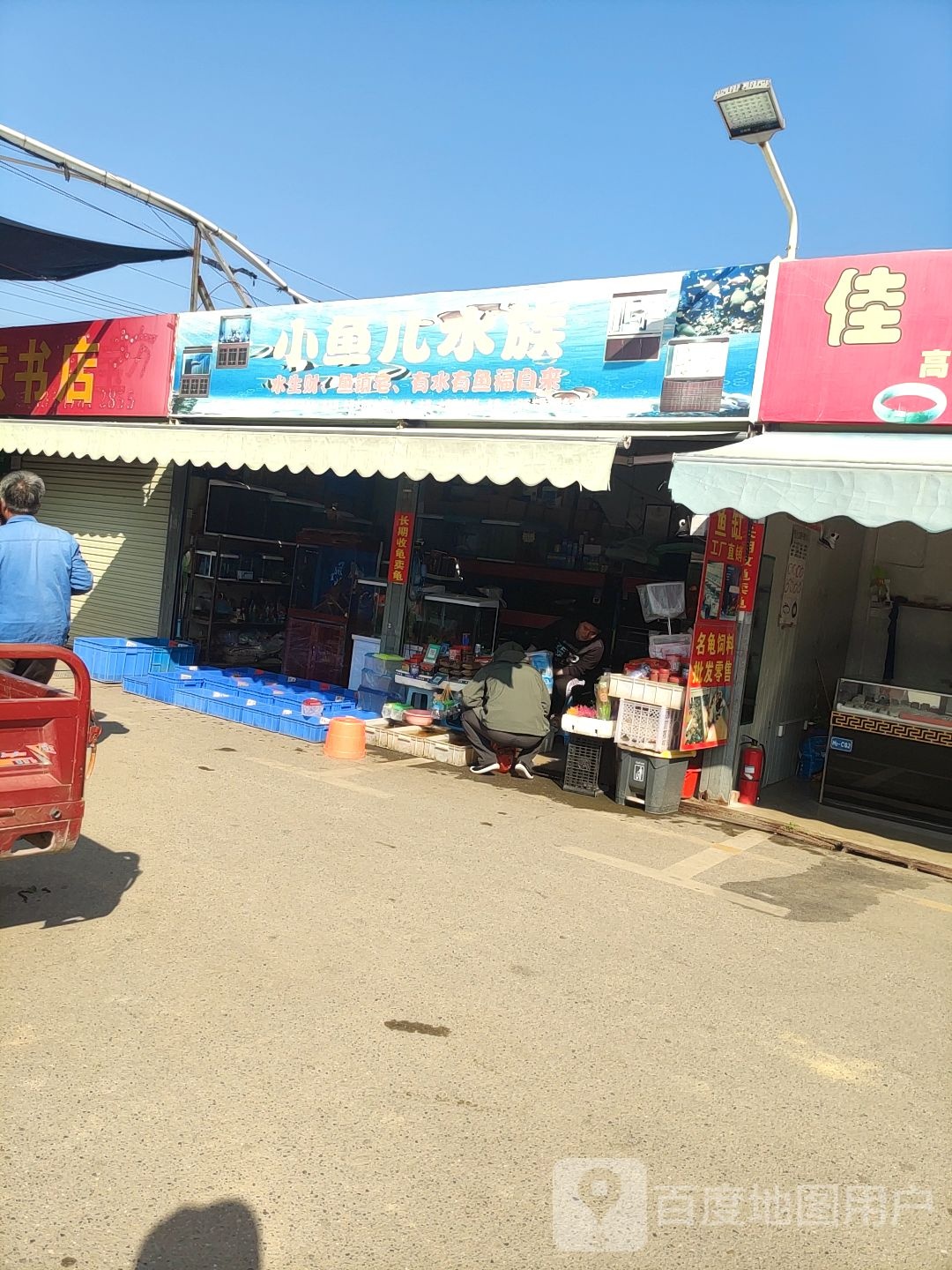 小鱼儿水族(邕隆路店)