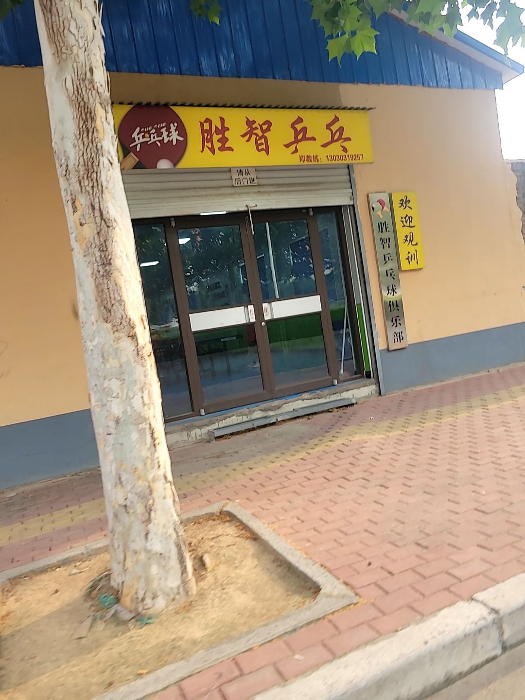 胜智乒乓球