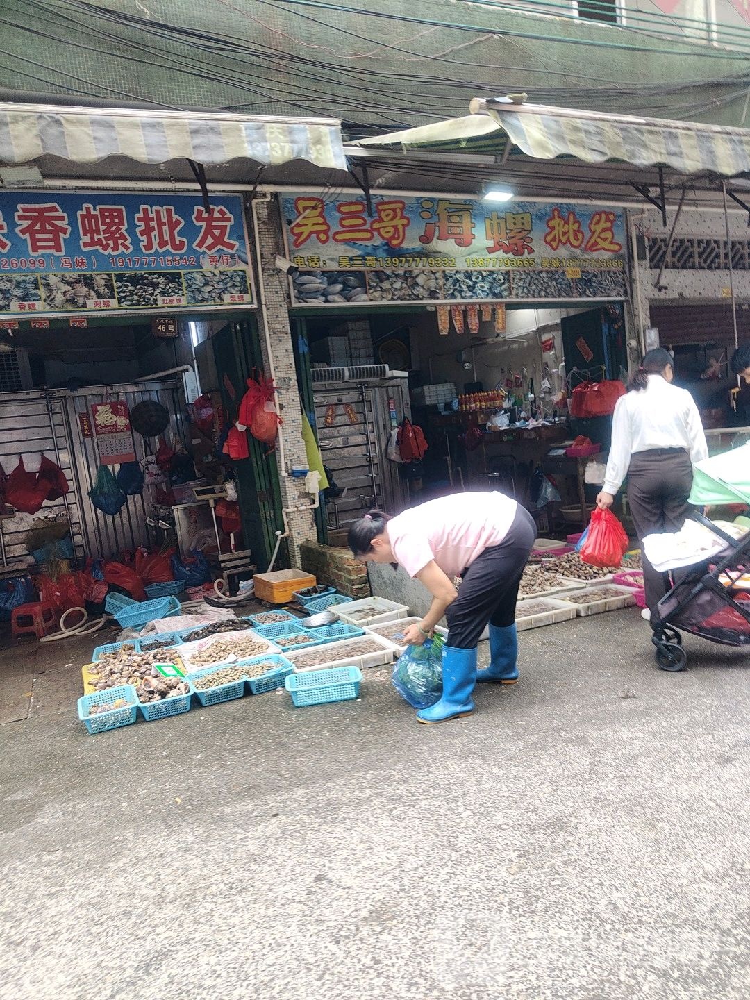 吴三哥海螺批发