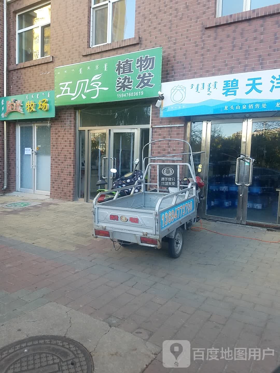 五贝子植物染发