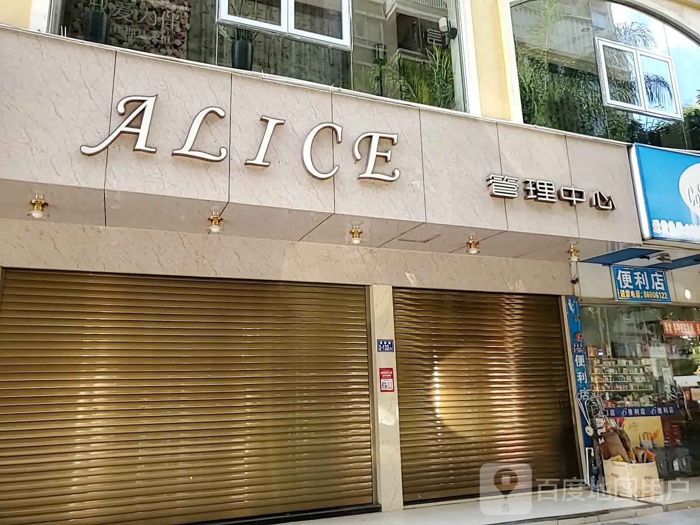 ALICE皮肤管理中心