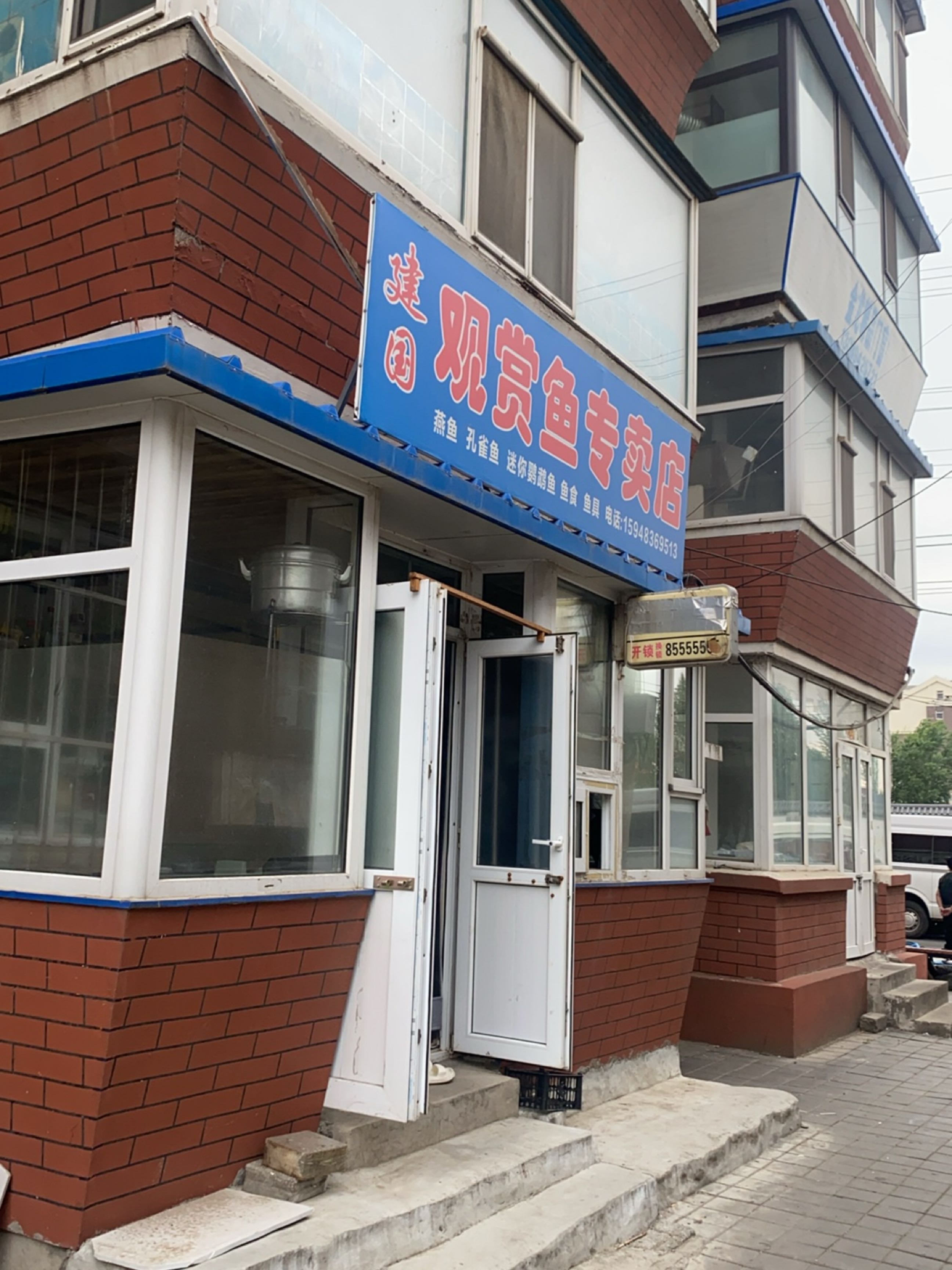 建国观赏鱼专卖店