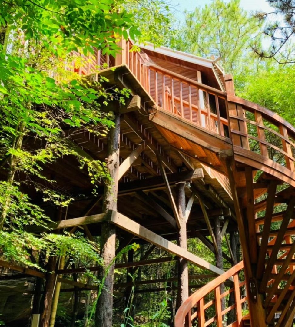 陕西黄陵国家森林公园