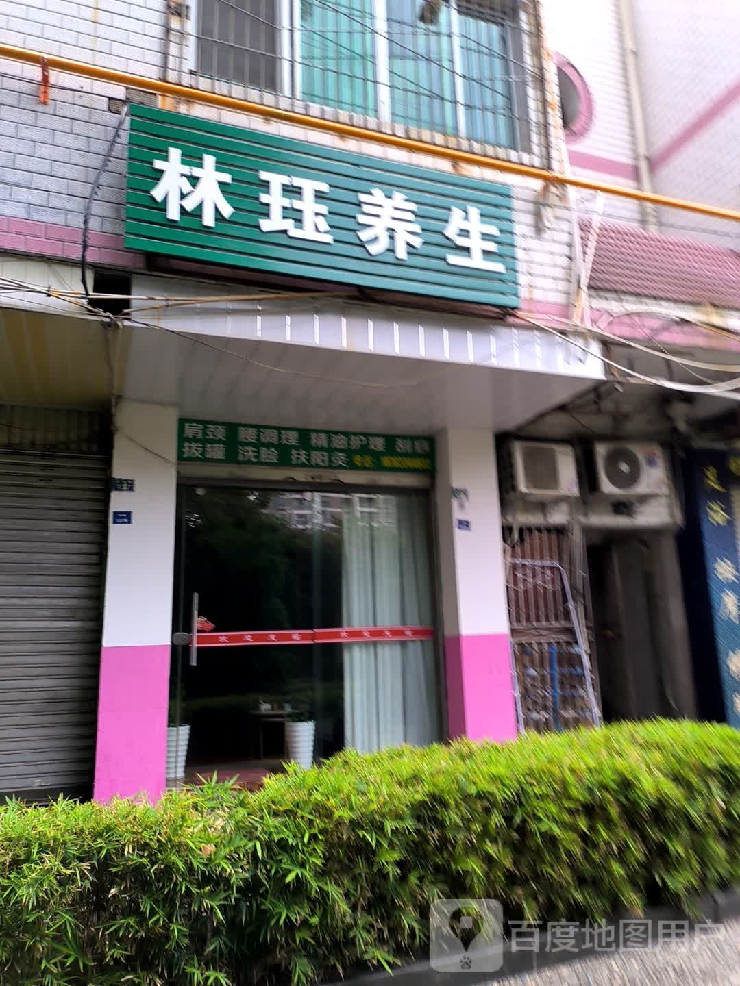 林珏养生