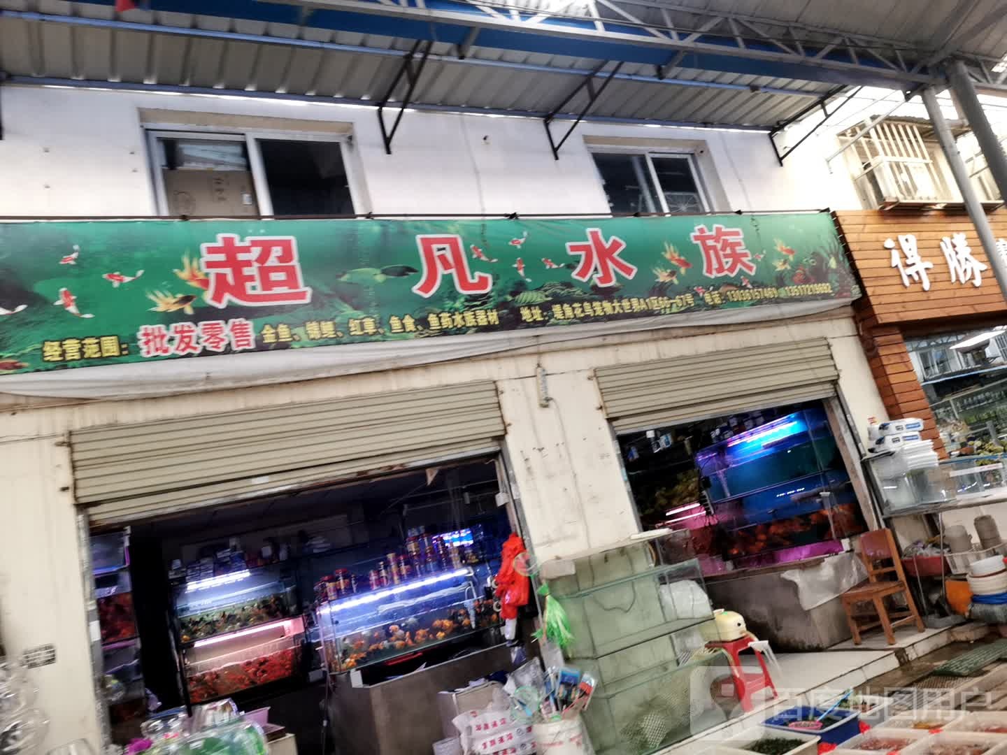 超凡水族