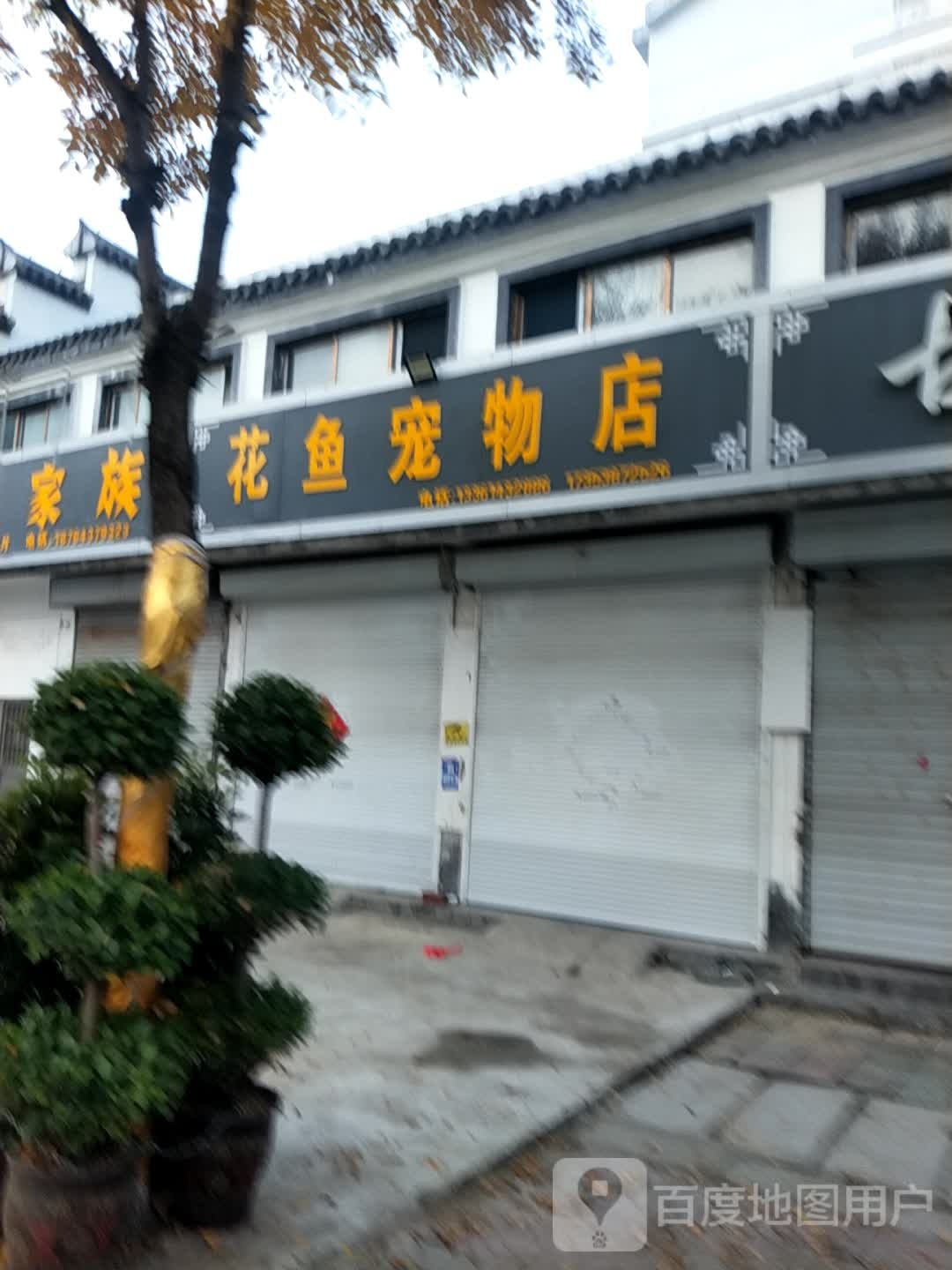 鱼花宠物店