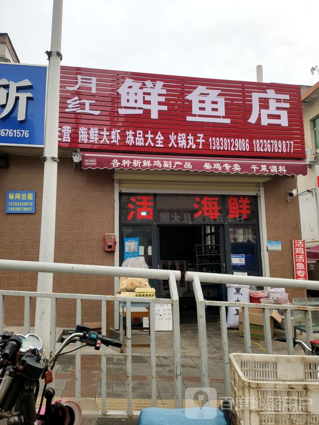 新密市月红鲜鱼店