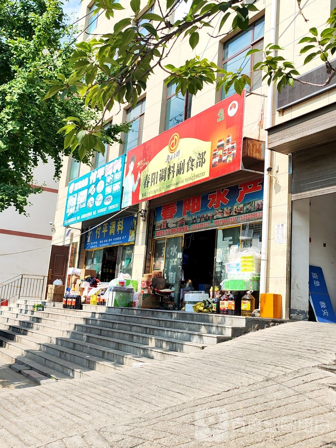 春阳水产