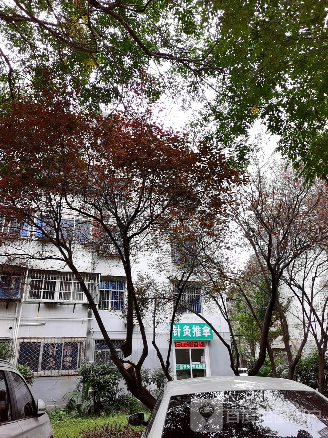 针灸推拿