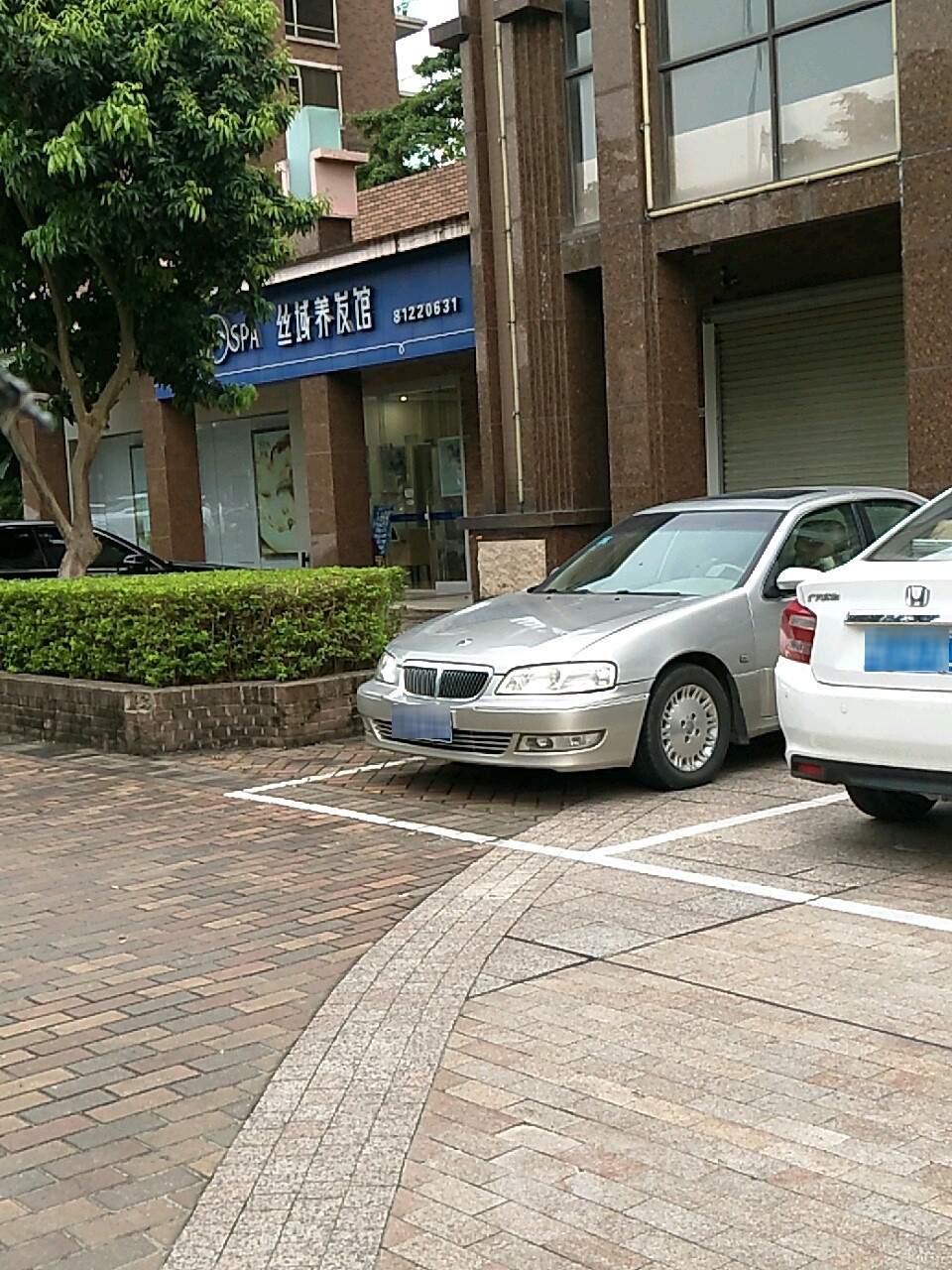 丝域养发馆(厚街湖景一号店)