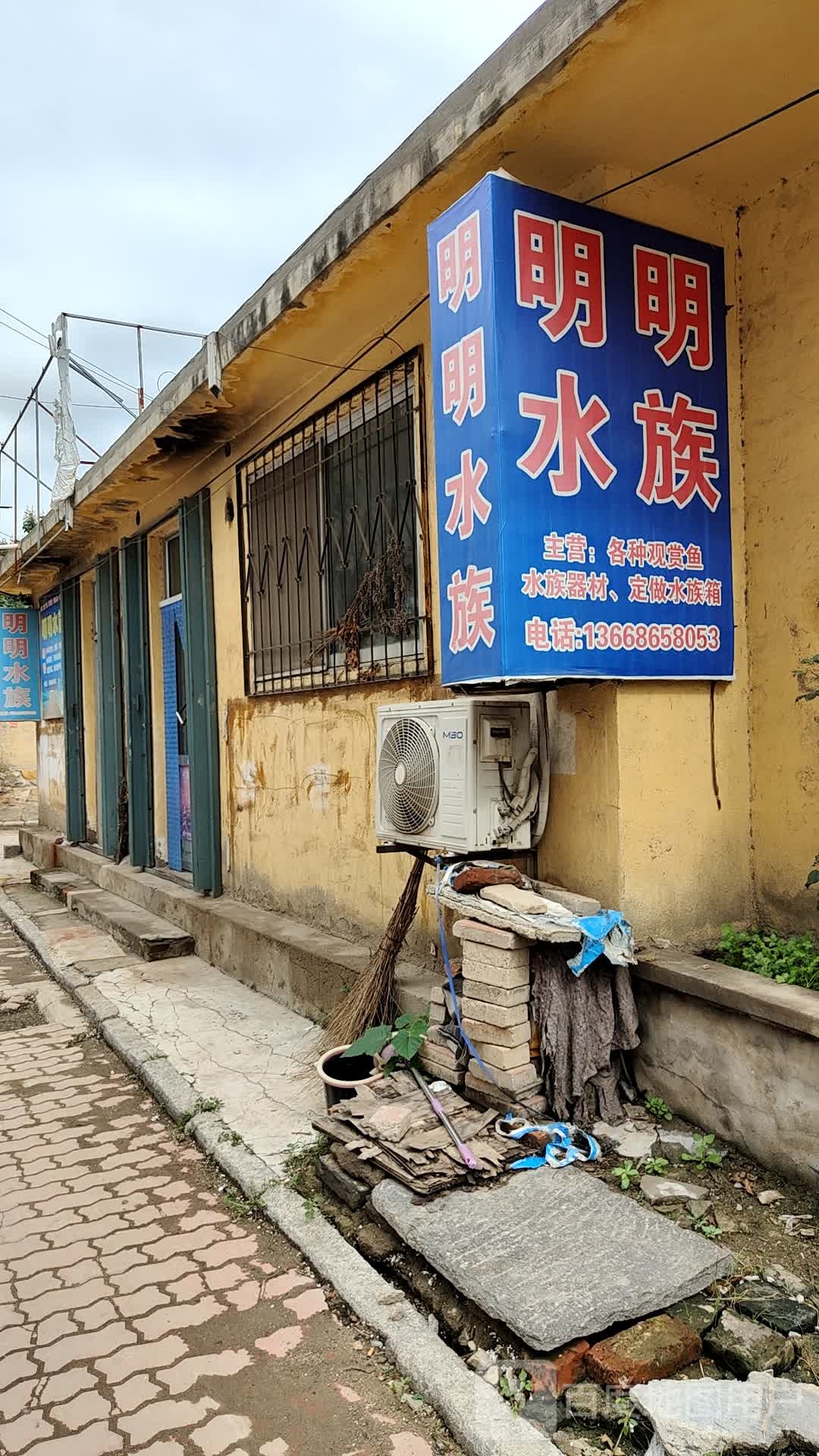 明明水族