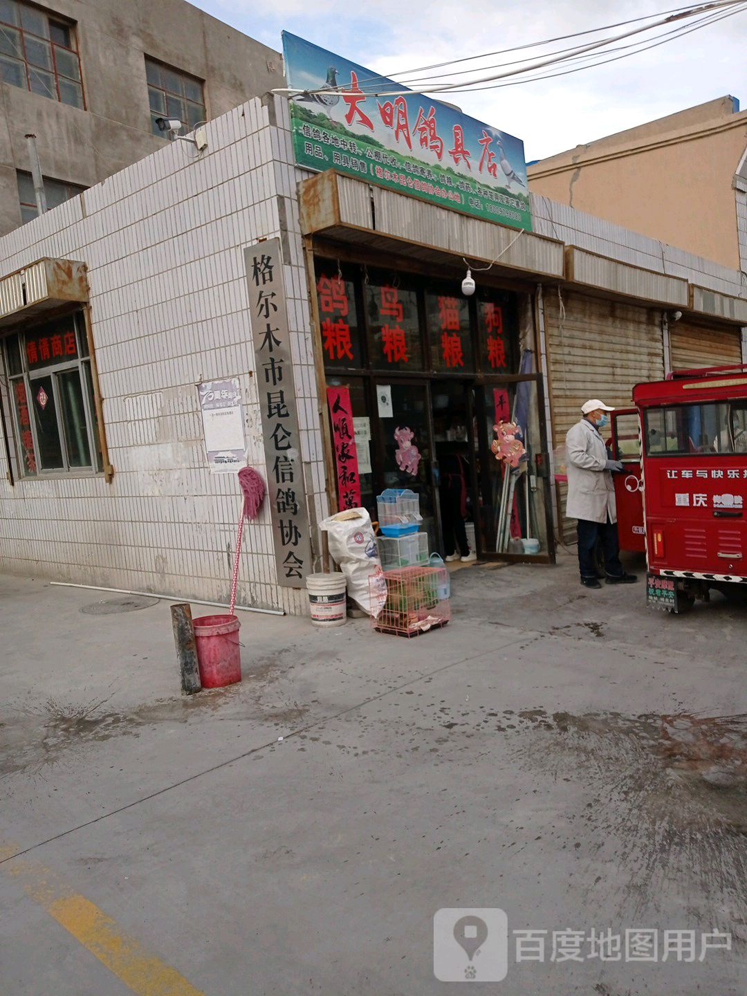 格尔木市信鸽协会