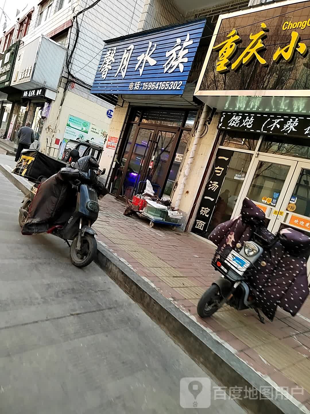 鑫月水族