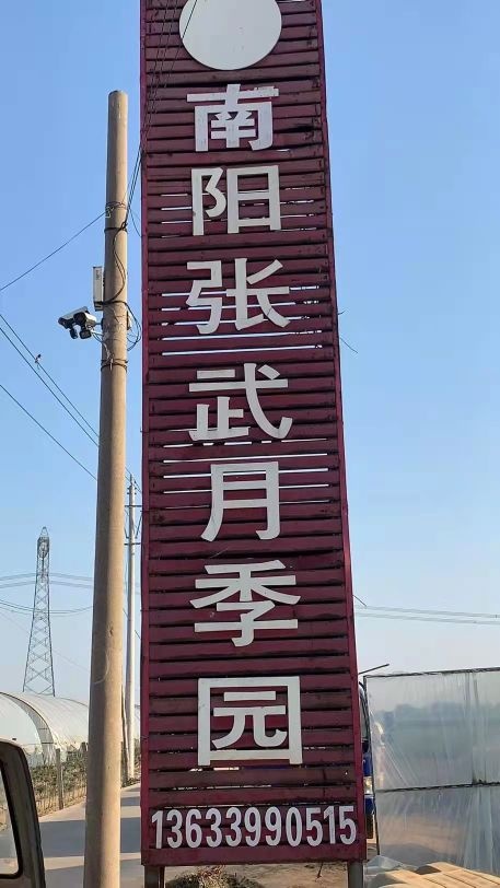 张武月季种植园