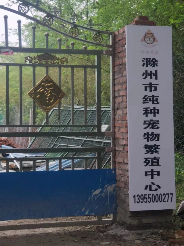 滁州中山宠物繁殖基地