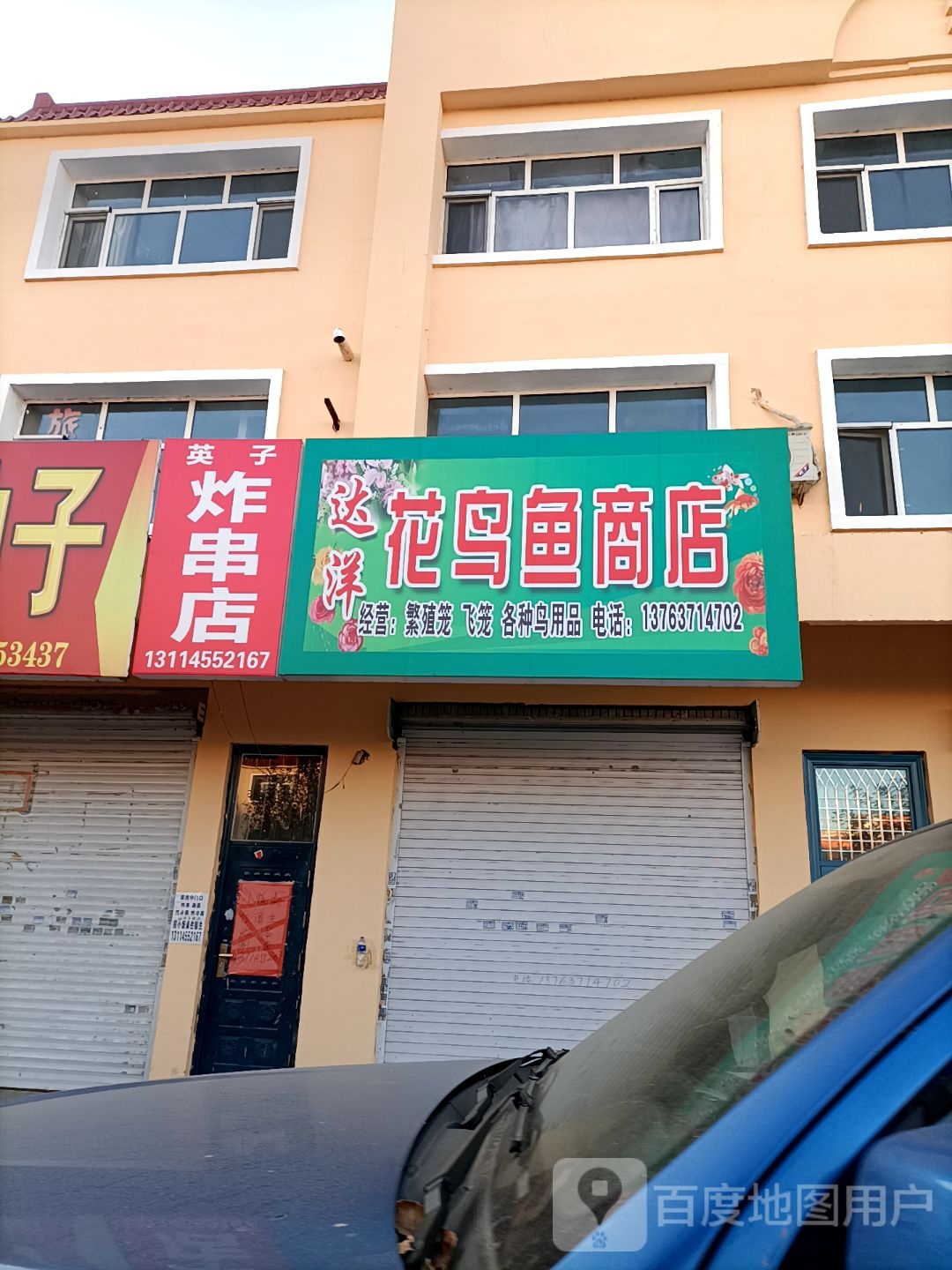 达洋花鸟鱼商店