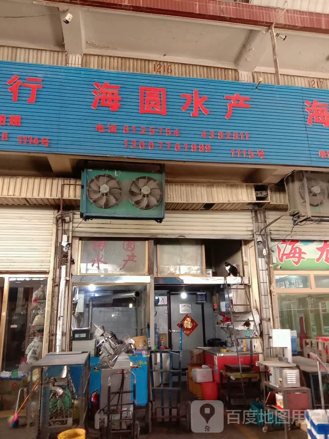 海圆睡产