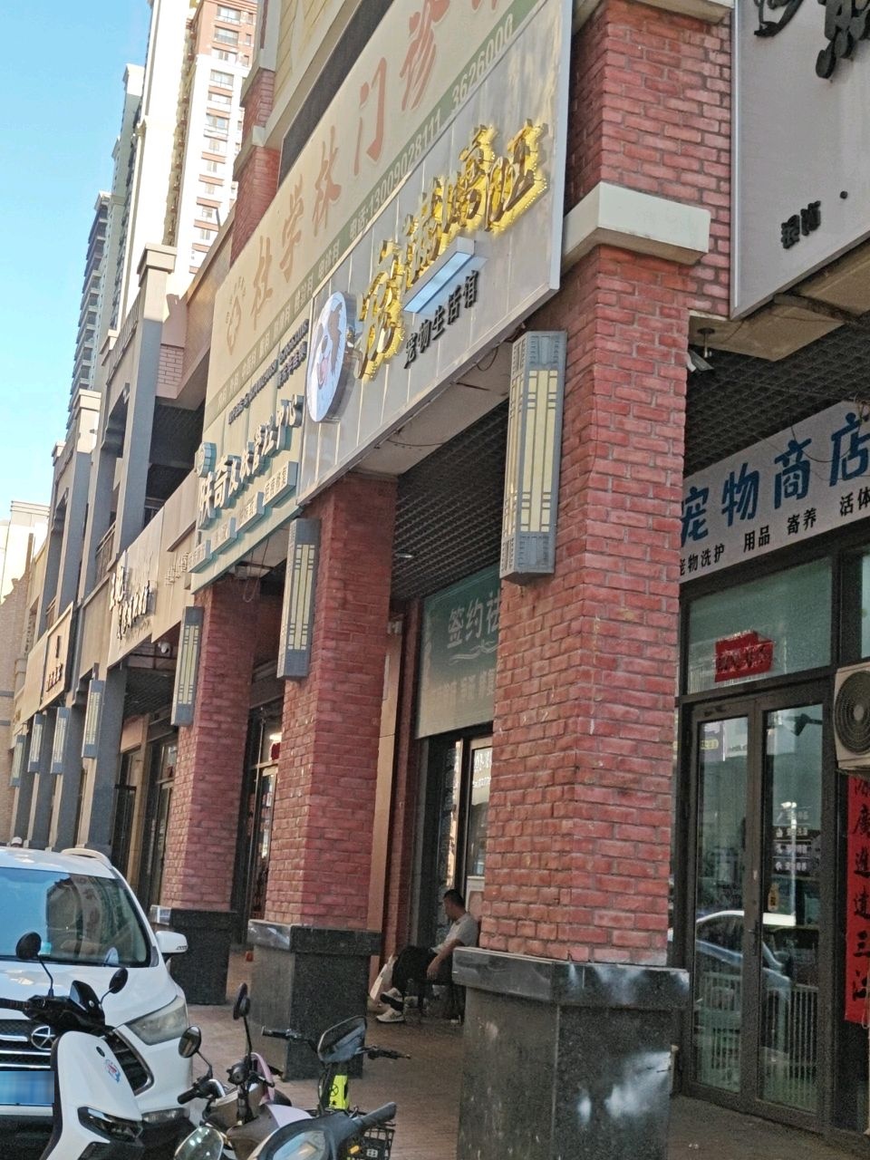宠物商店