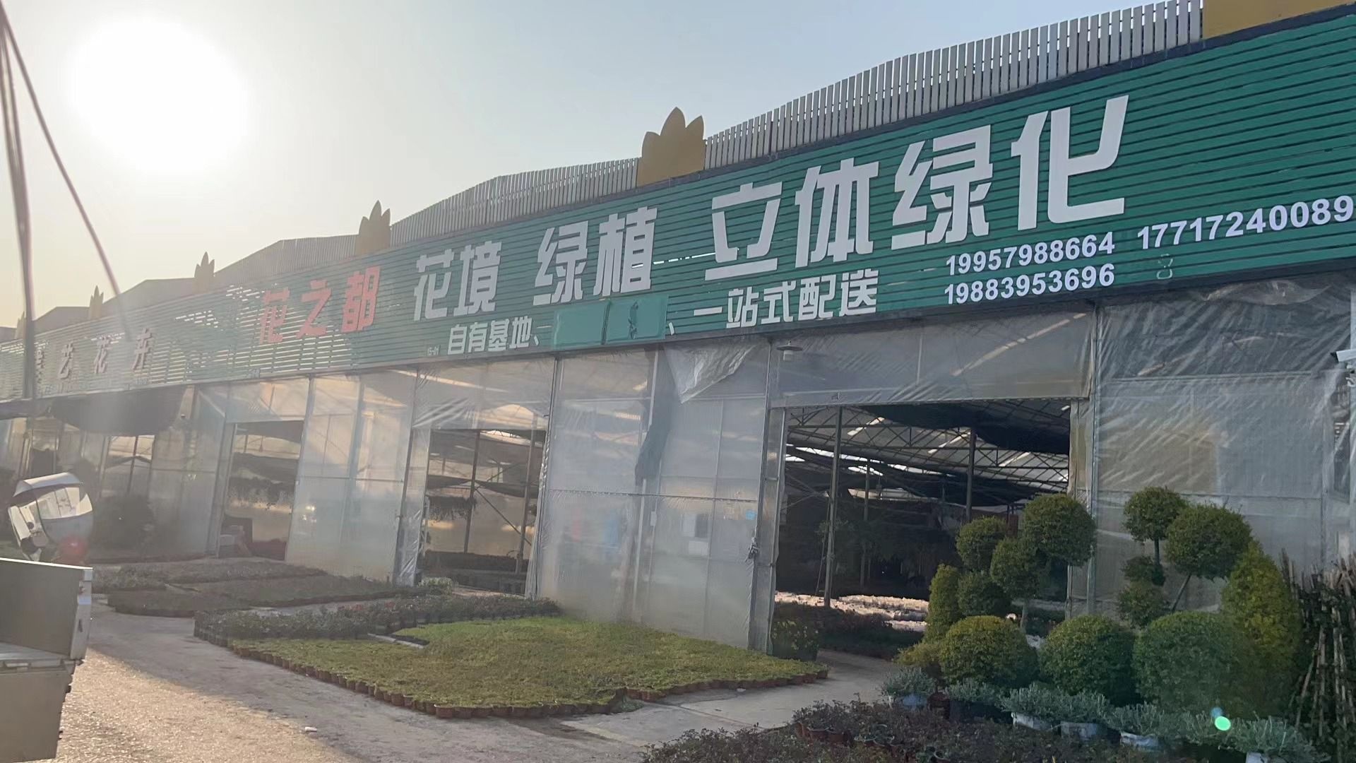 花之都花境草花