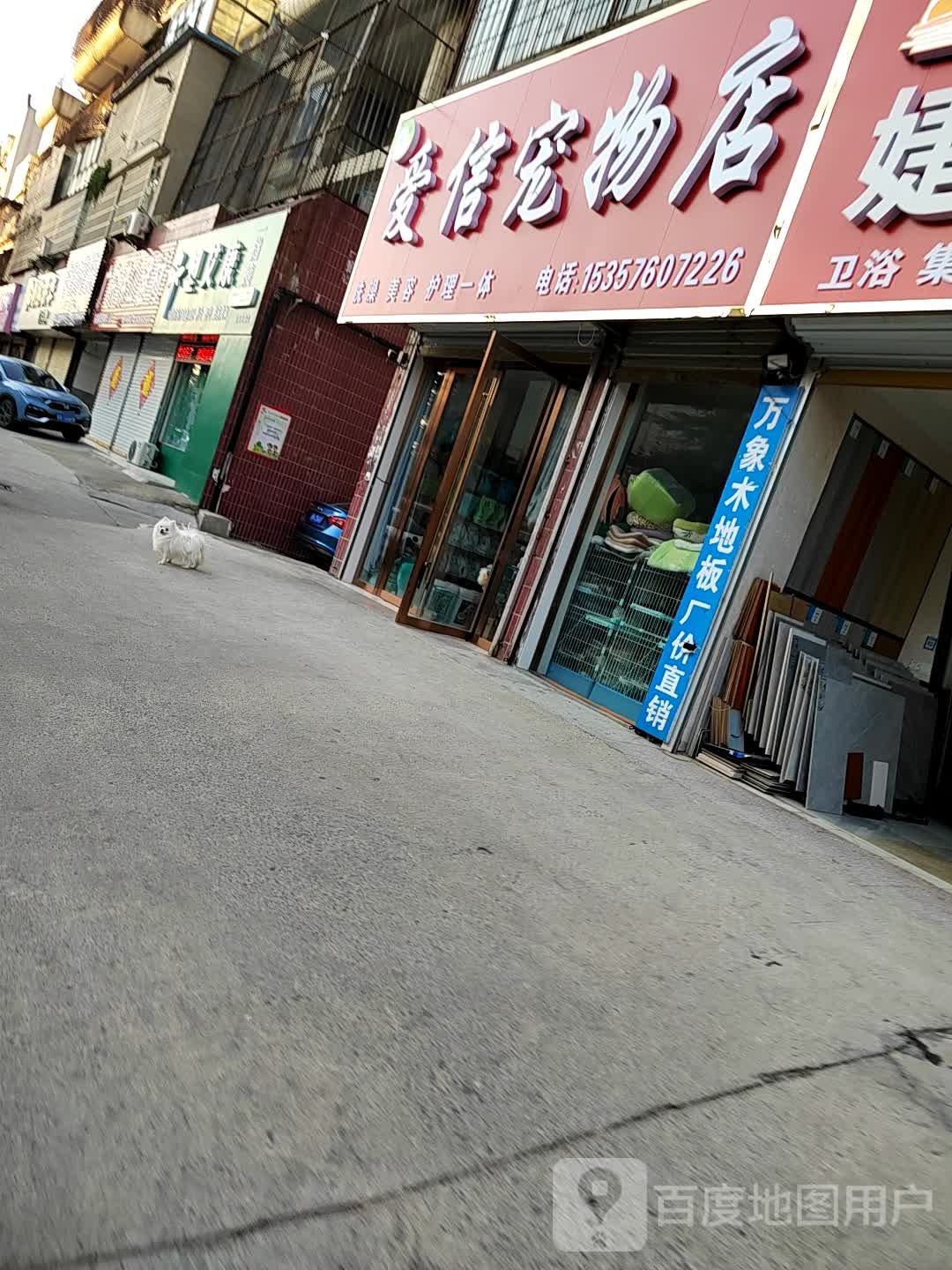 爱信宠物店