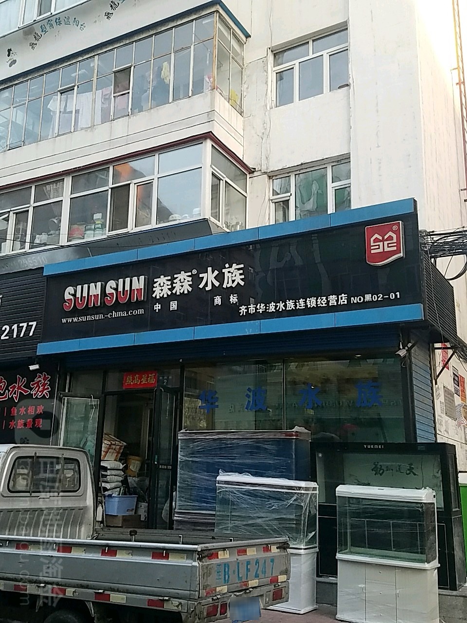 小渔市森森水族(齐市华波水族连锁经营店)