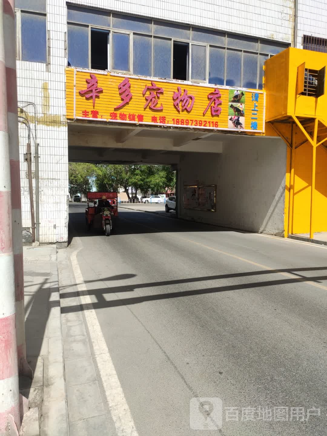 辛多宠物店