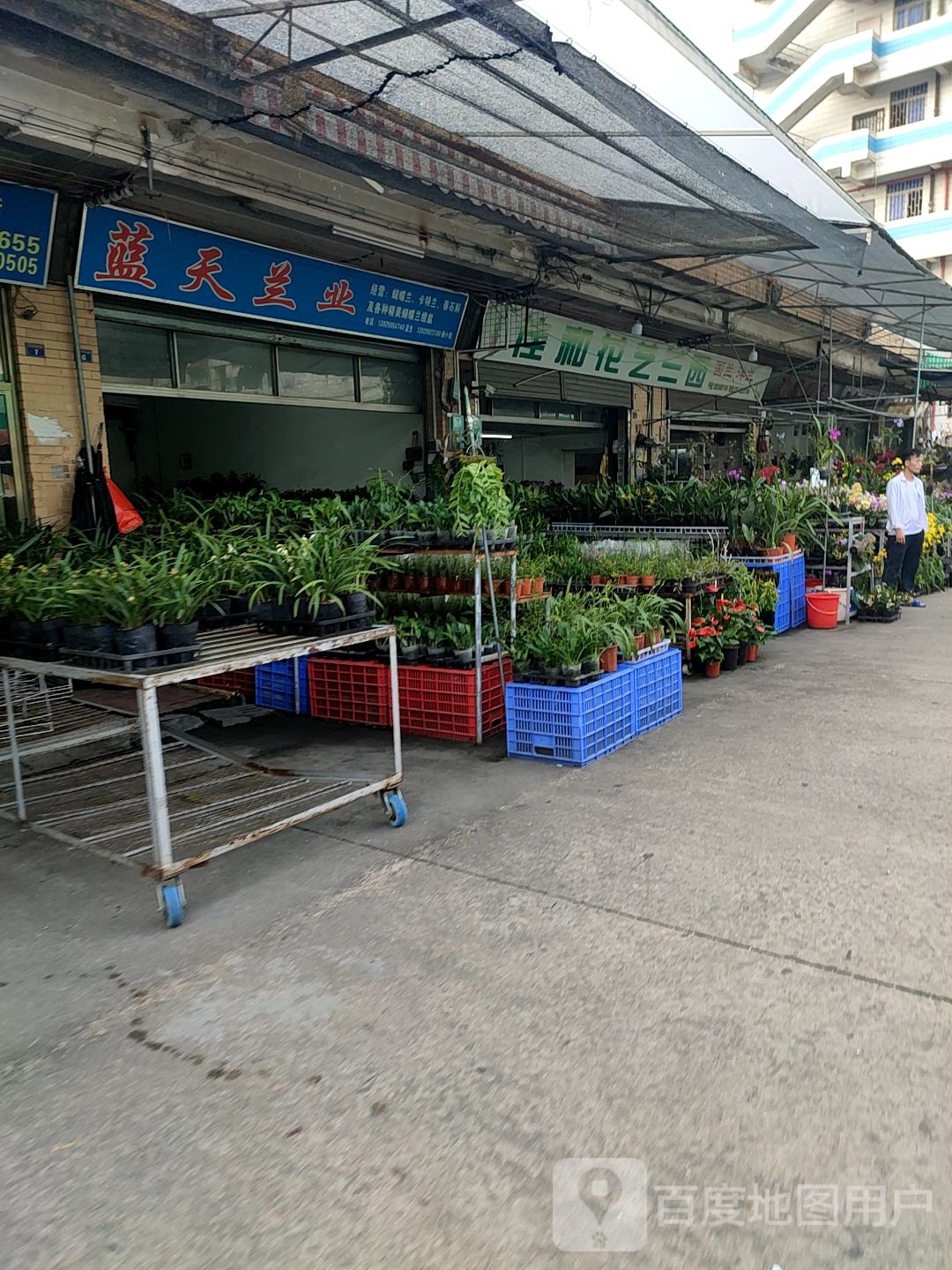 佳和花艺兰园
