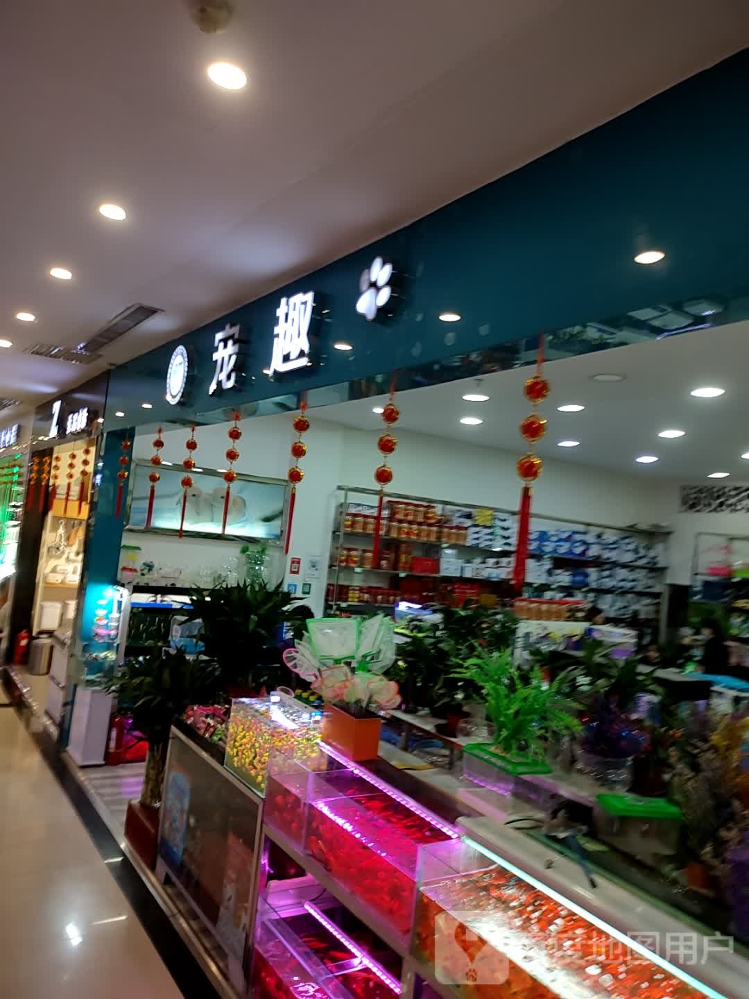 宠趣(领先购物广场店)