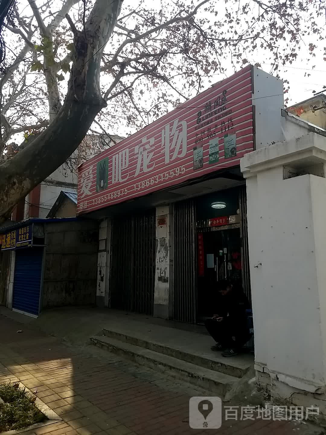 爱吧宠物店