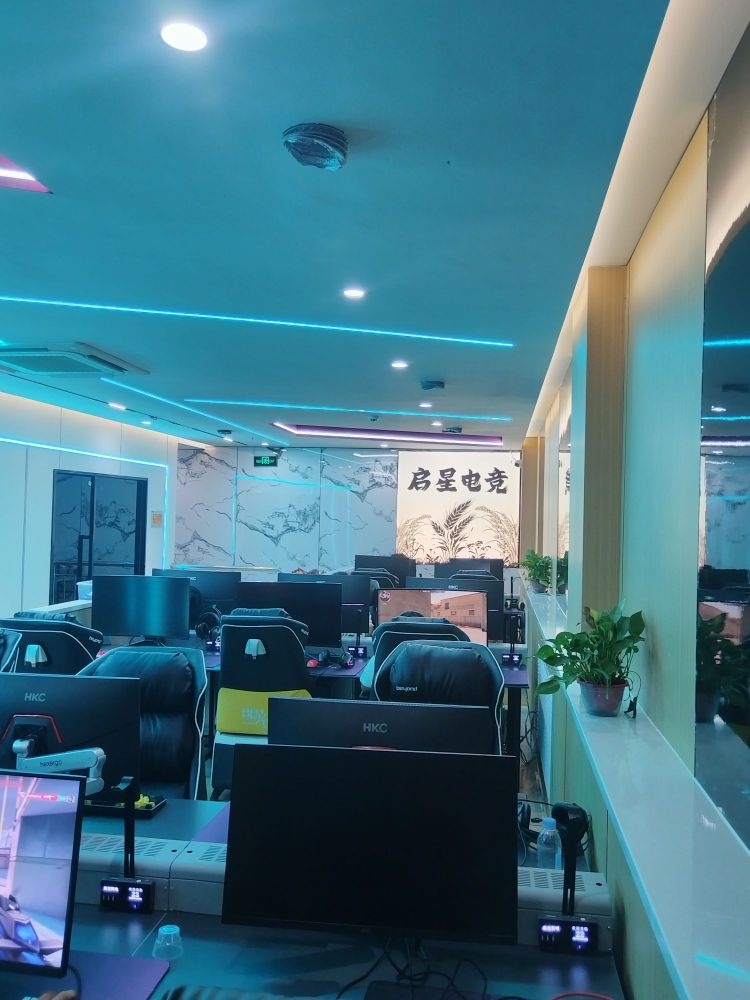 启星电竞